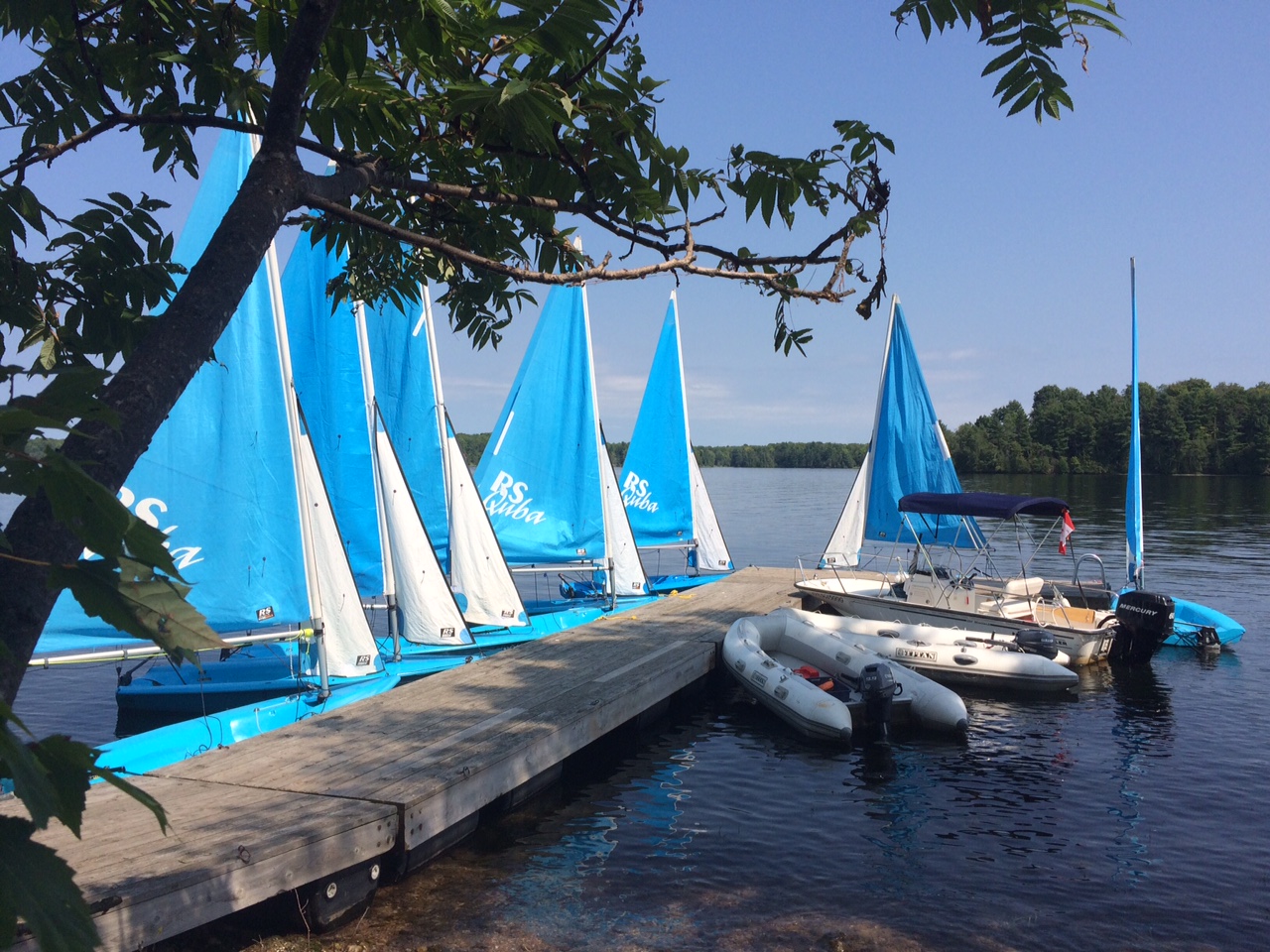 boats&dock.jpeg