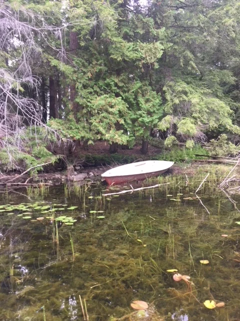 image1.jpeg