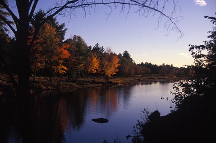 fall-colours-upriver-salm-h.jpg