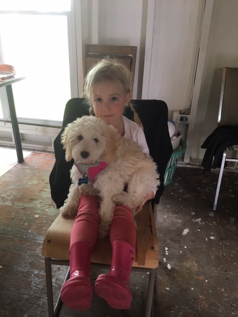 image3.jpeg