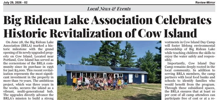 Cow Island Revitalization - Mirror Review July 29 2026