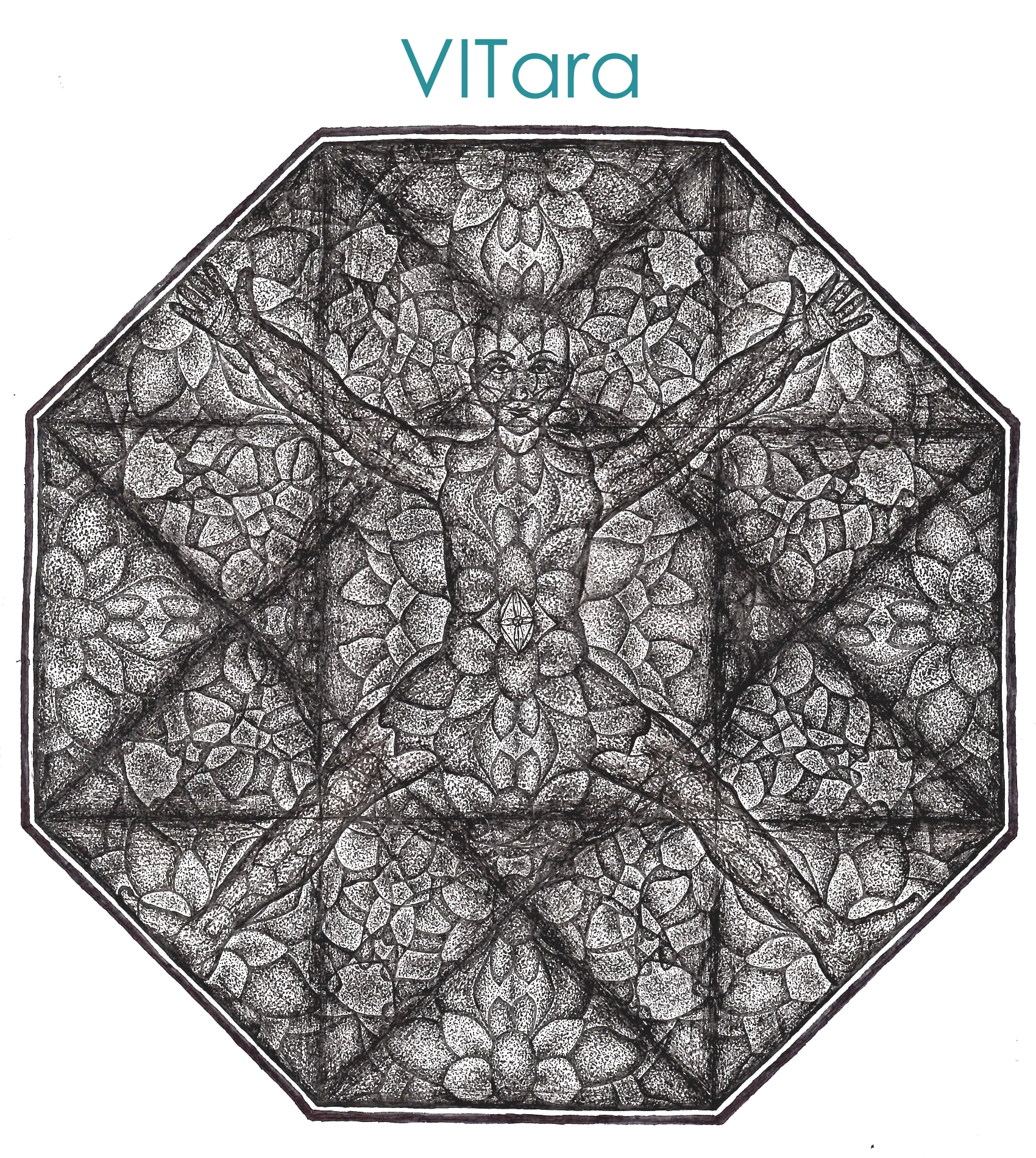 Supporting scholarship funds (fund/fun”raising” awareness) for affiliate organizations. Here 30% of Symmagery Design product sale proceeds are directed to scholarship funds of select organizations and projects aligned with the SD Vision who are offering powerful experiential approaches to nature connection both internally & externally, extending from the personal to the global scale. VITara aligns our vision with the sources of inspiration for Symmagery Design opening opportunities to extend & integrate the experience of exploring & discovering our place in nature. Together we accentuate our values by exposing more sustainable, enduring & revitalizing patterns in nature & fashioning & displaying an ever-expanding variety of beautiful tapestries mirroring our VITality in nature. 