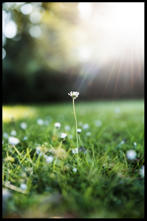 AdobeStock_142764581.jpeg
