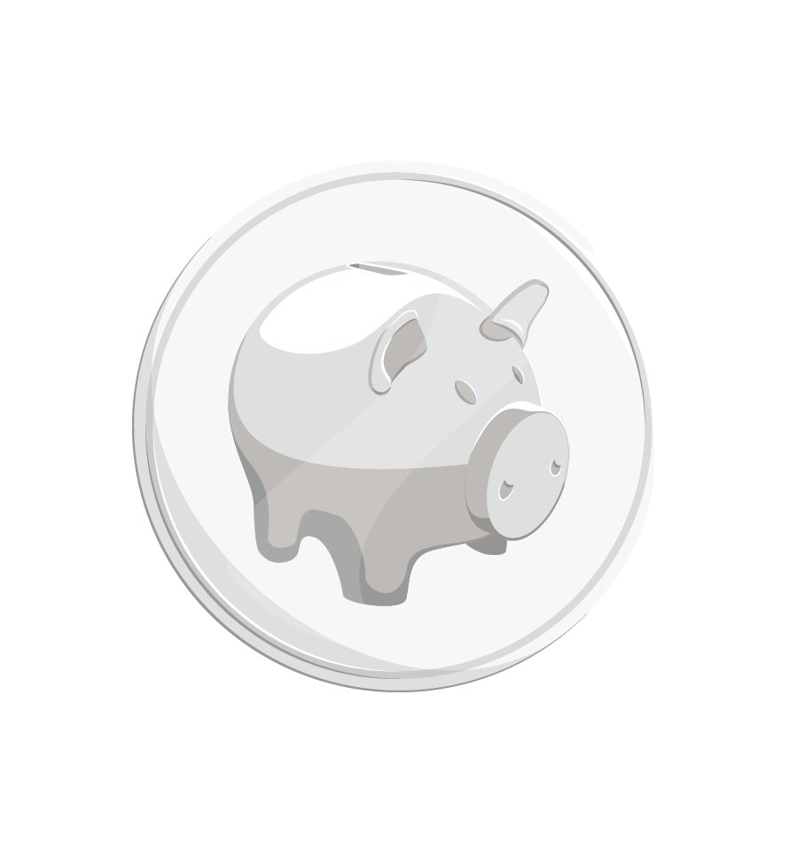 Pig_Token_V5-01.png