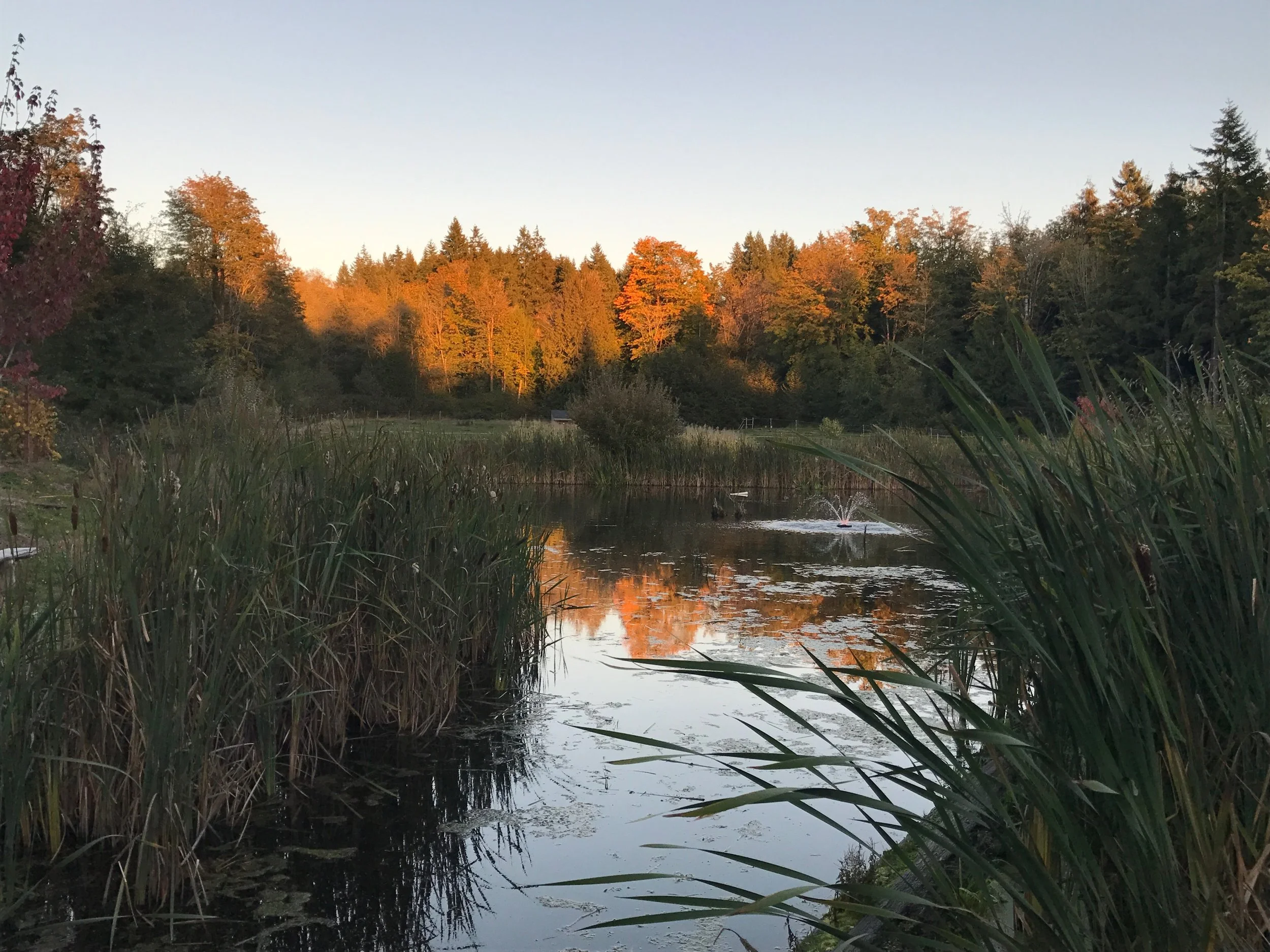 Autumn at the Farm