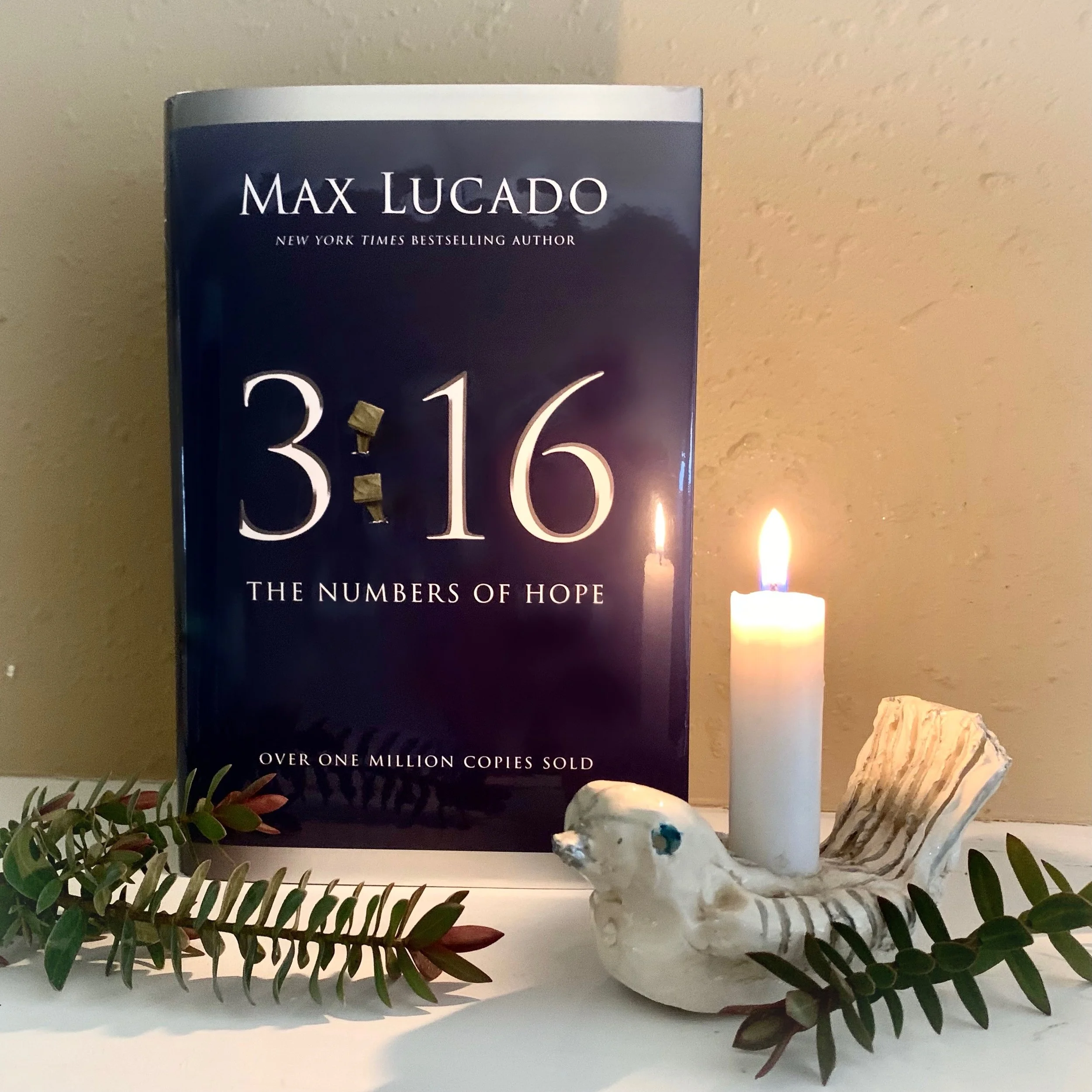 3:16, The Numbers of Hope | March Book Club