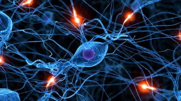 Think Blog Neuron Pic.jpg