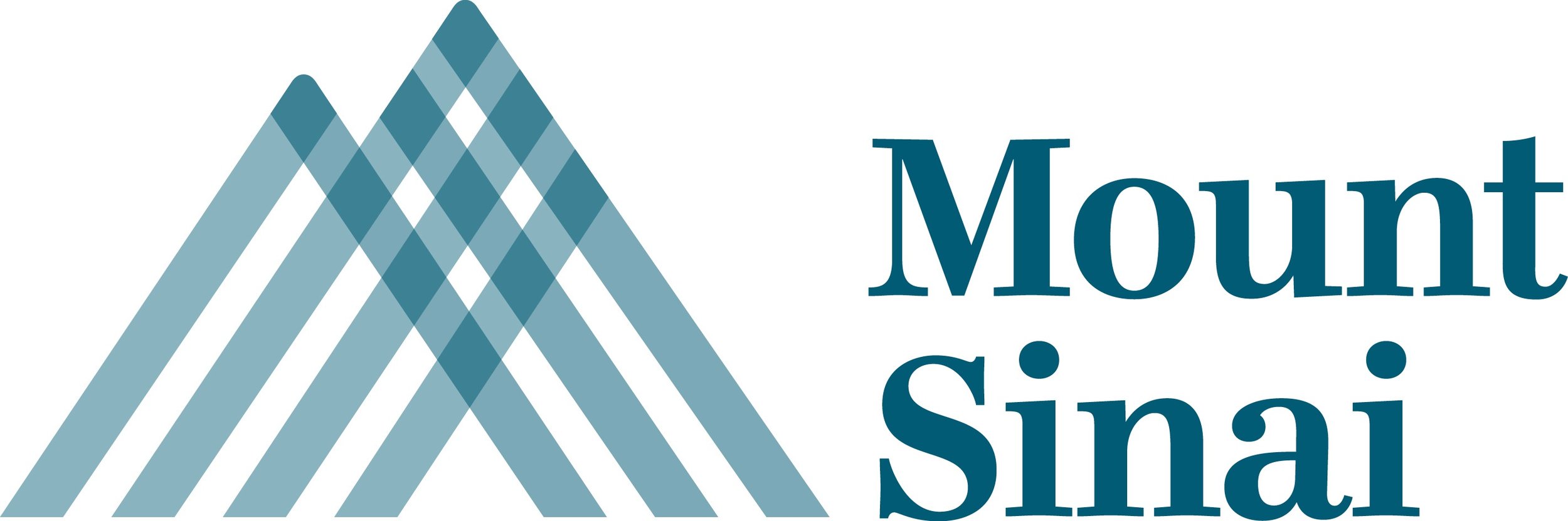 db Mount Sinai Logo.jpg