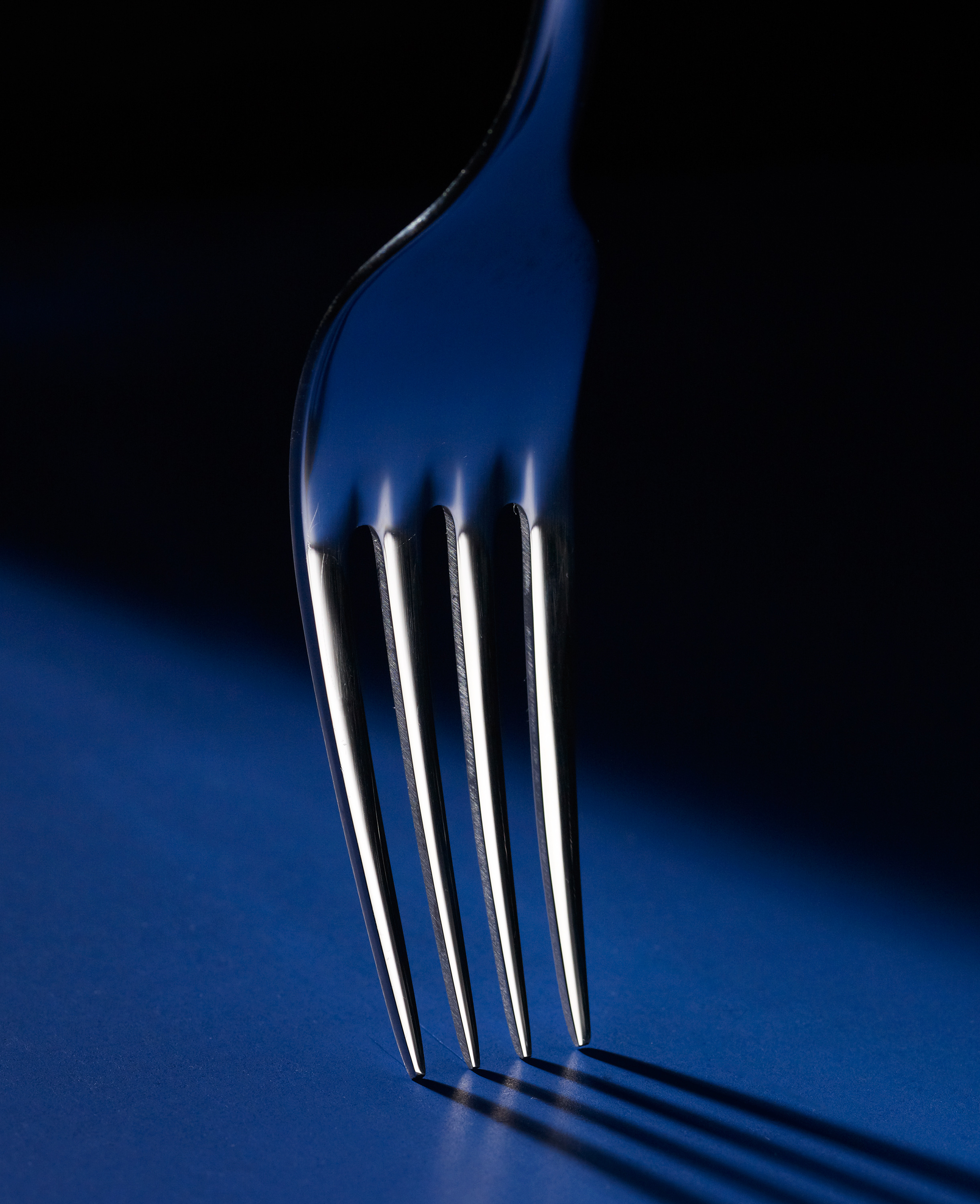 53-039-06_fork_113-2.jpg