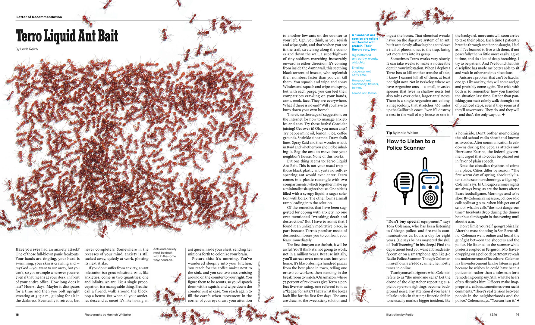 01_03_Mag_LR_Comb_Part18.jpg