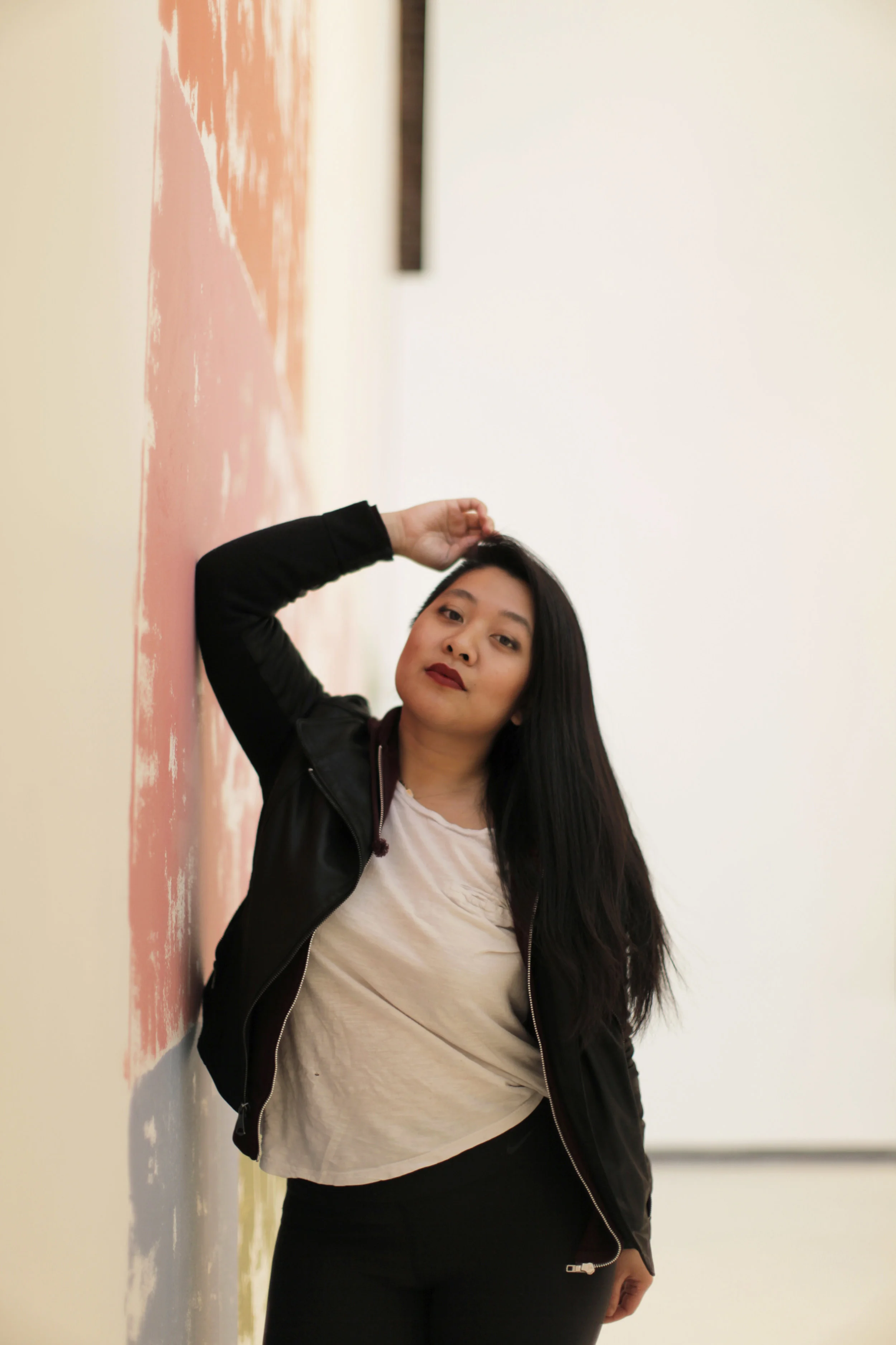 Hyde Park Art Center Anna Kunz S Color Cast Thu Sister Studio