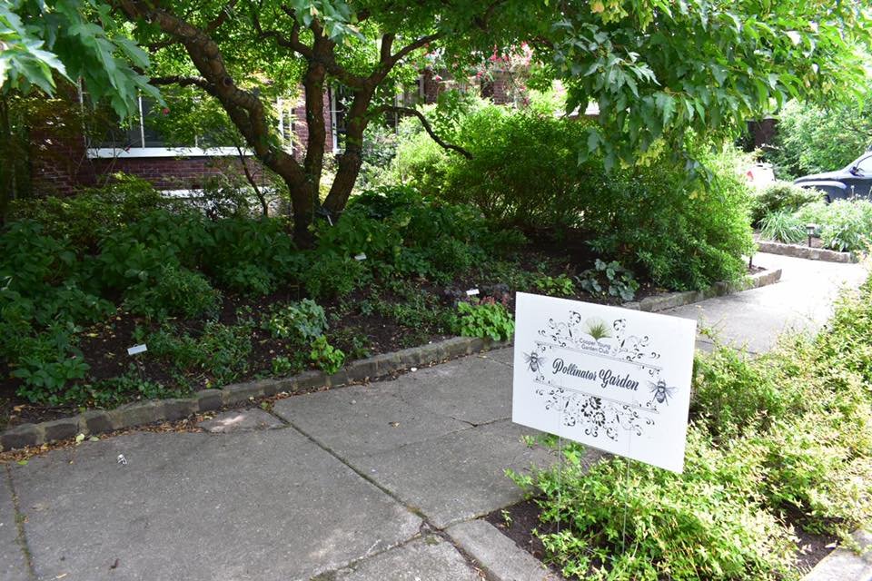 Pollinator Garden - SW.jpeg