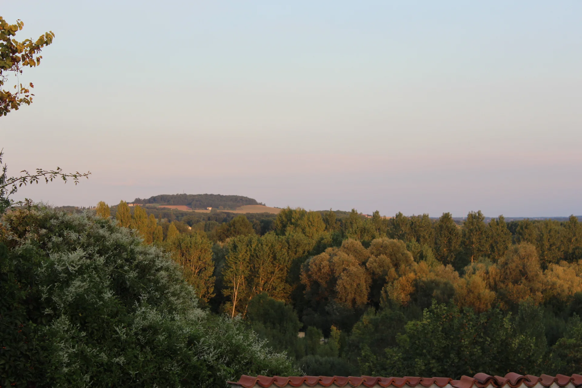 2015-09-02 18.18.26.jpg