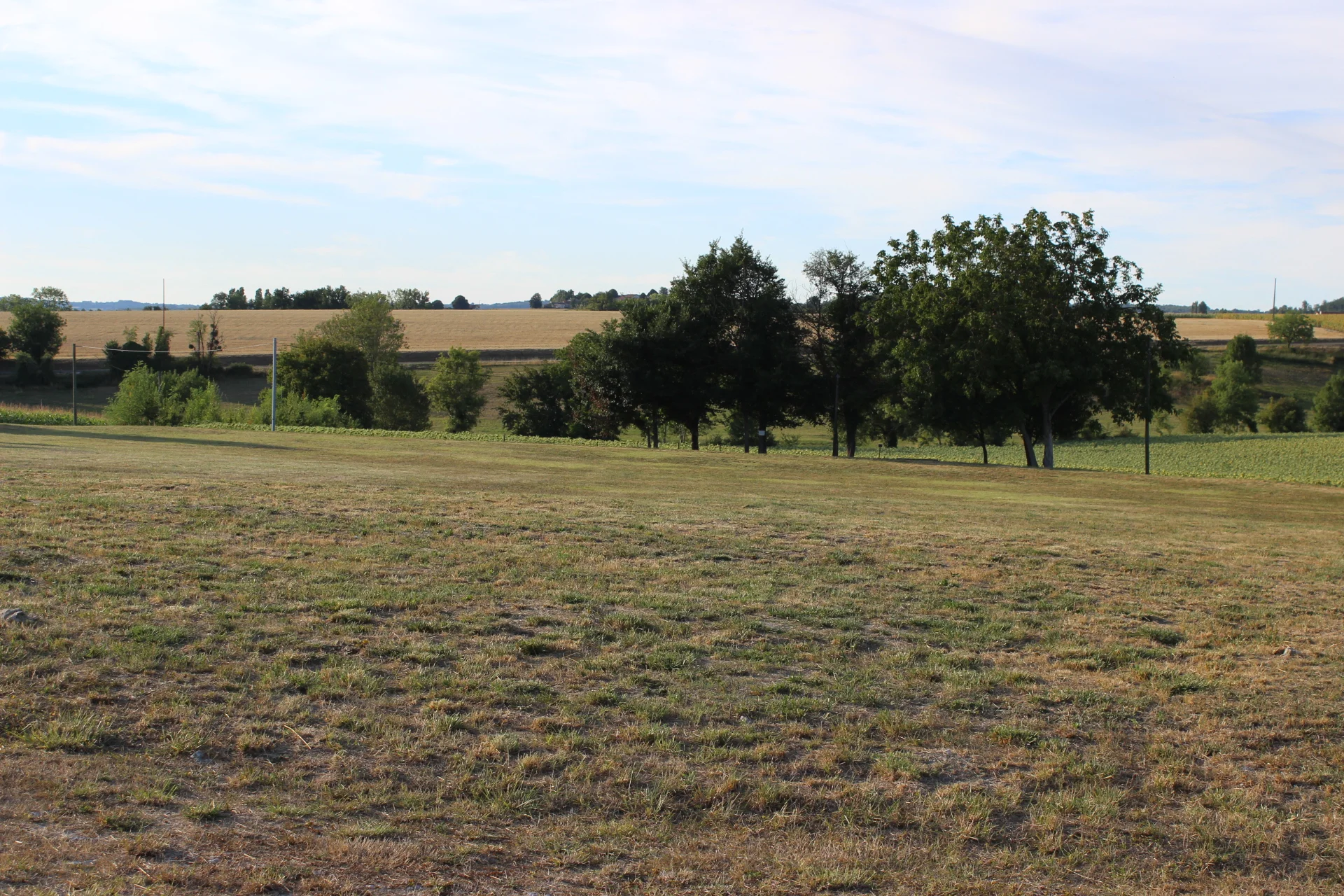 2015-08-02 17.50.32.jpg