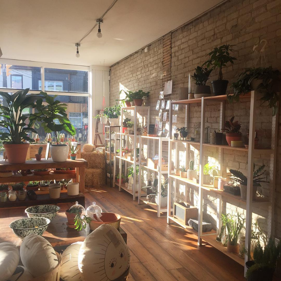 URBAN GARDENER : 1640 Dupont St., Toronto A garden boutique in Toronto's Junction Triangle neigbourhood catering to urban green thumbs! Specializing in landscaping services & artisan treasures.