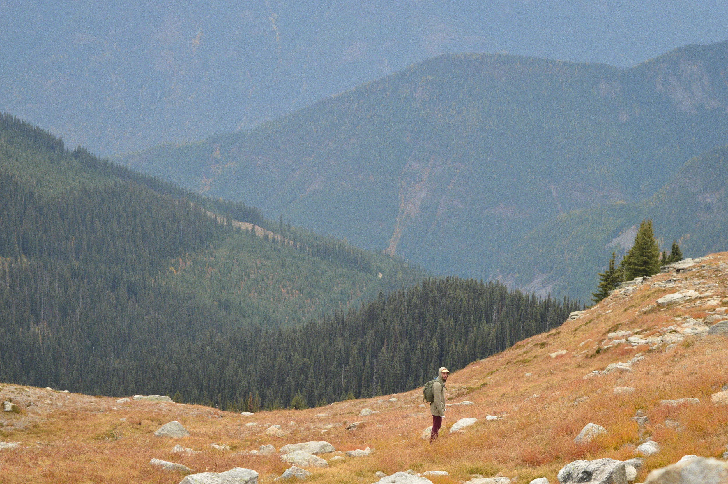 Hiking in Valhalla Provincial Park