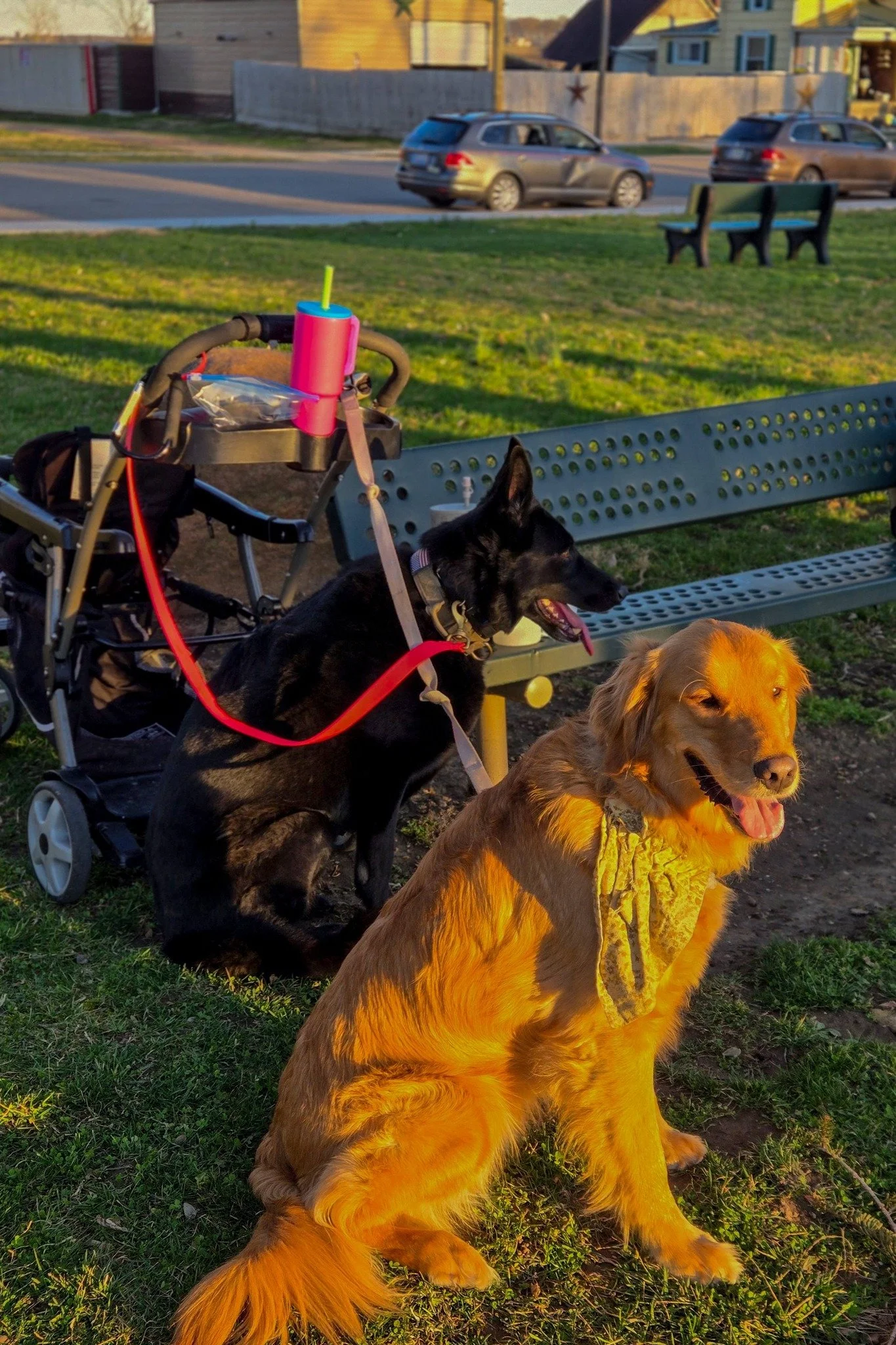 We had a great time at the park today 🩷