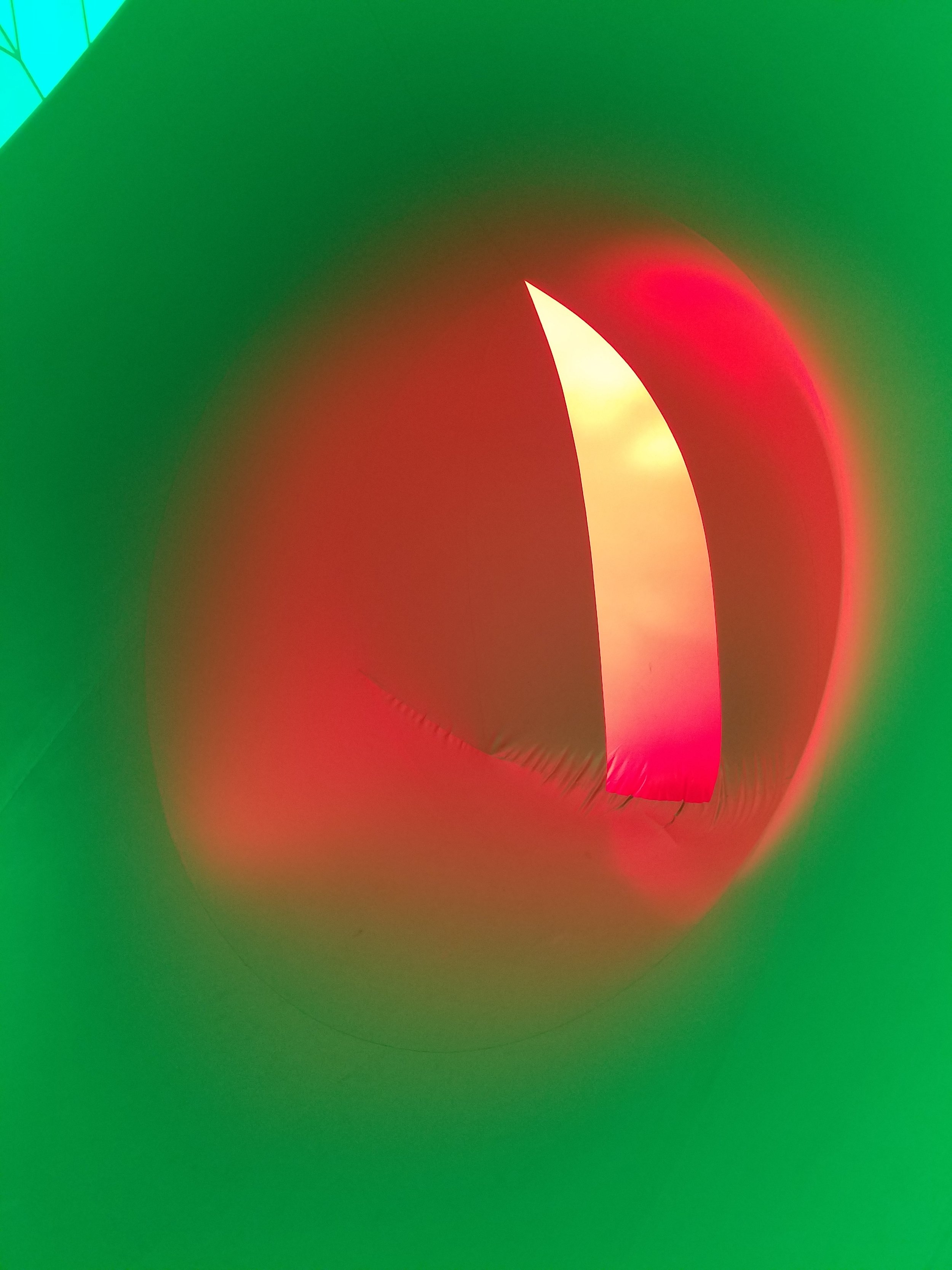 Arboria Luminarium