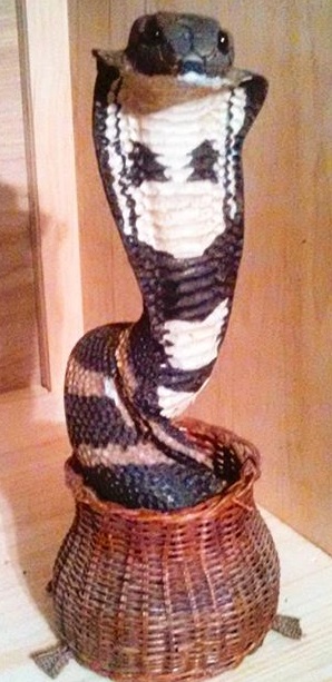 cobra in basket