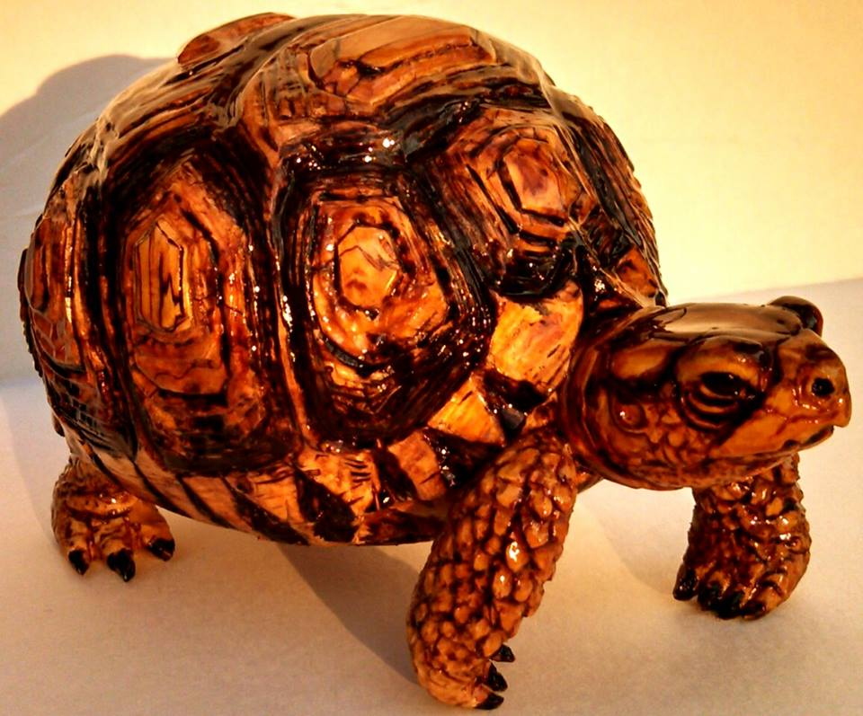 wood burl tortoise
