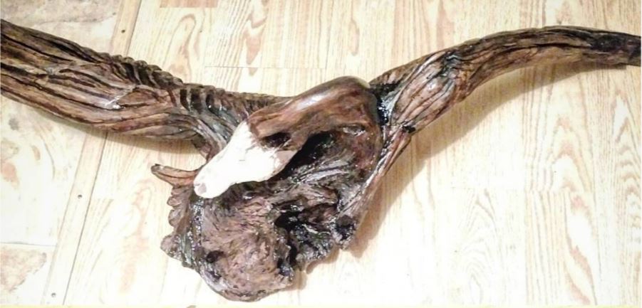 ABSTRACT DRIFTWOOD DUCK