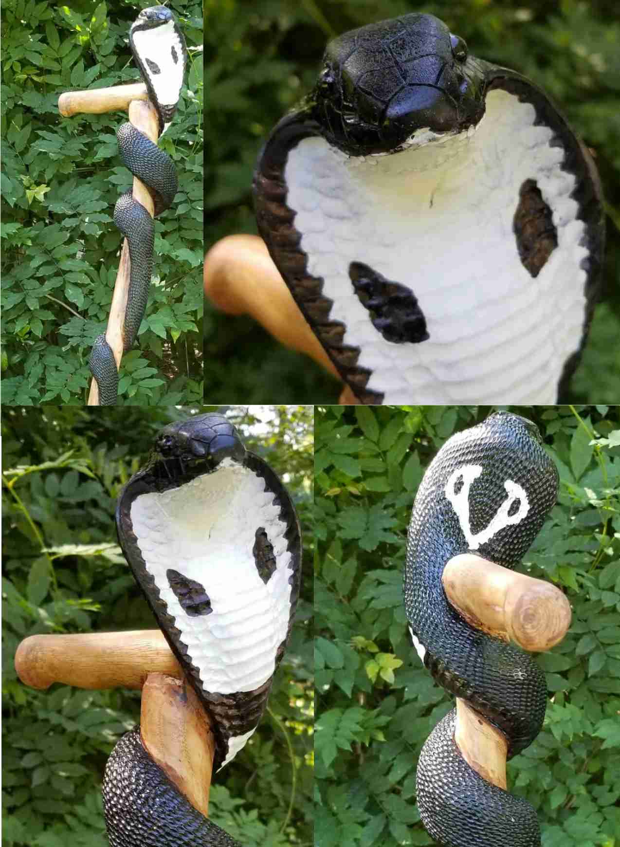 cobra cane.jpg