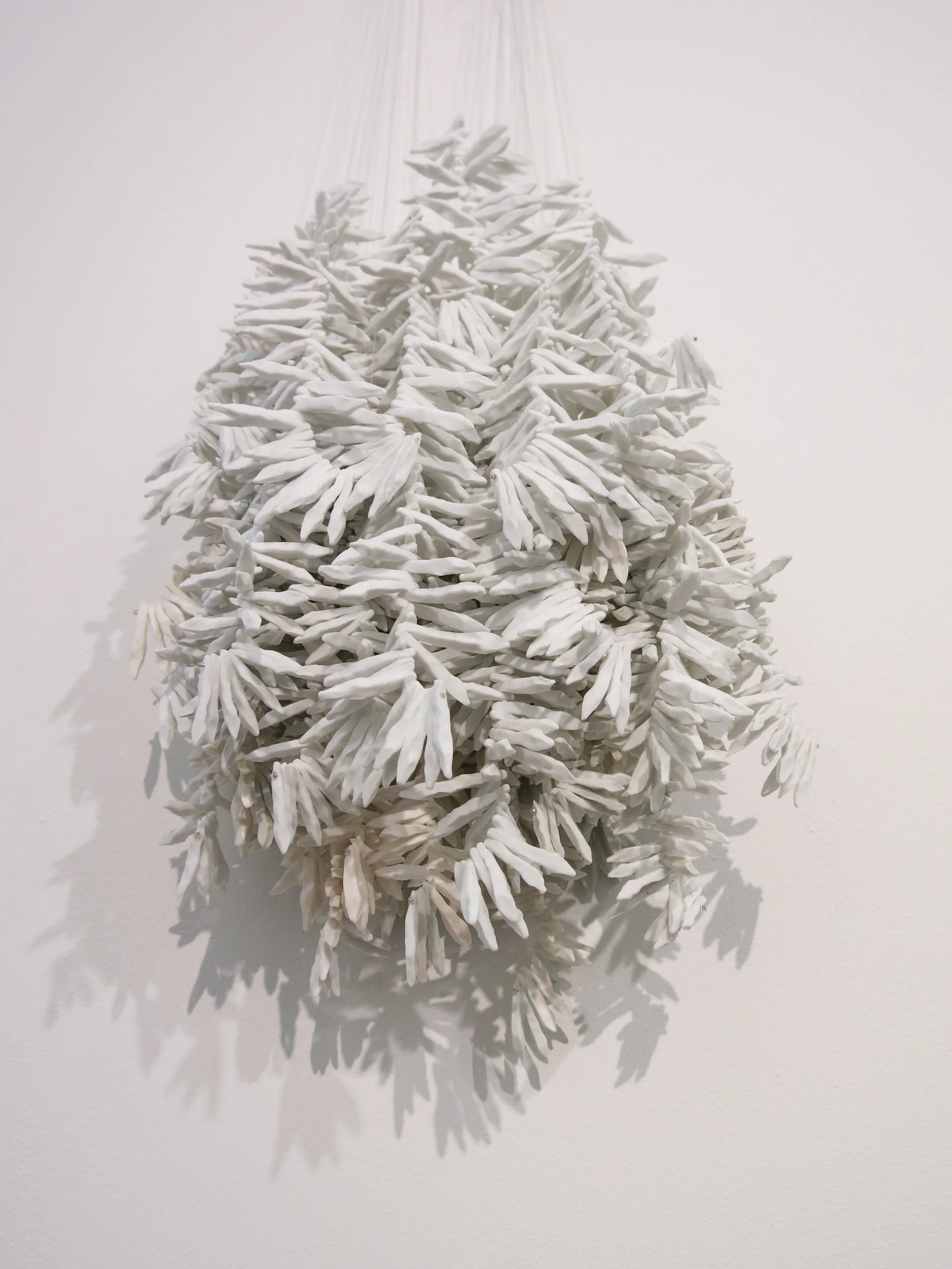 jae won lee