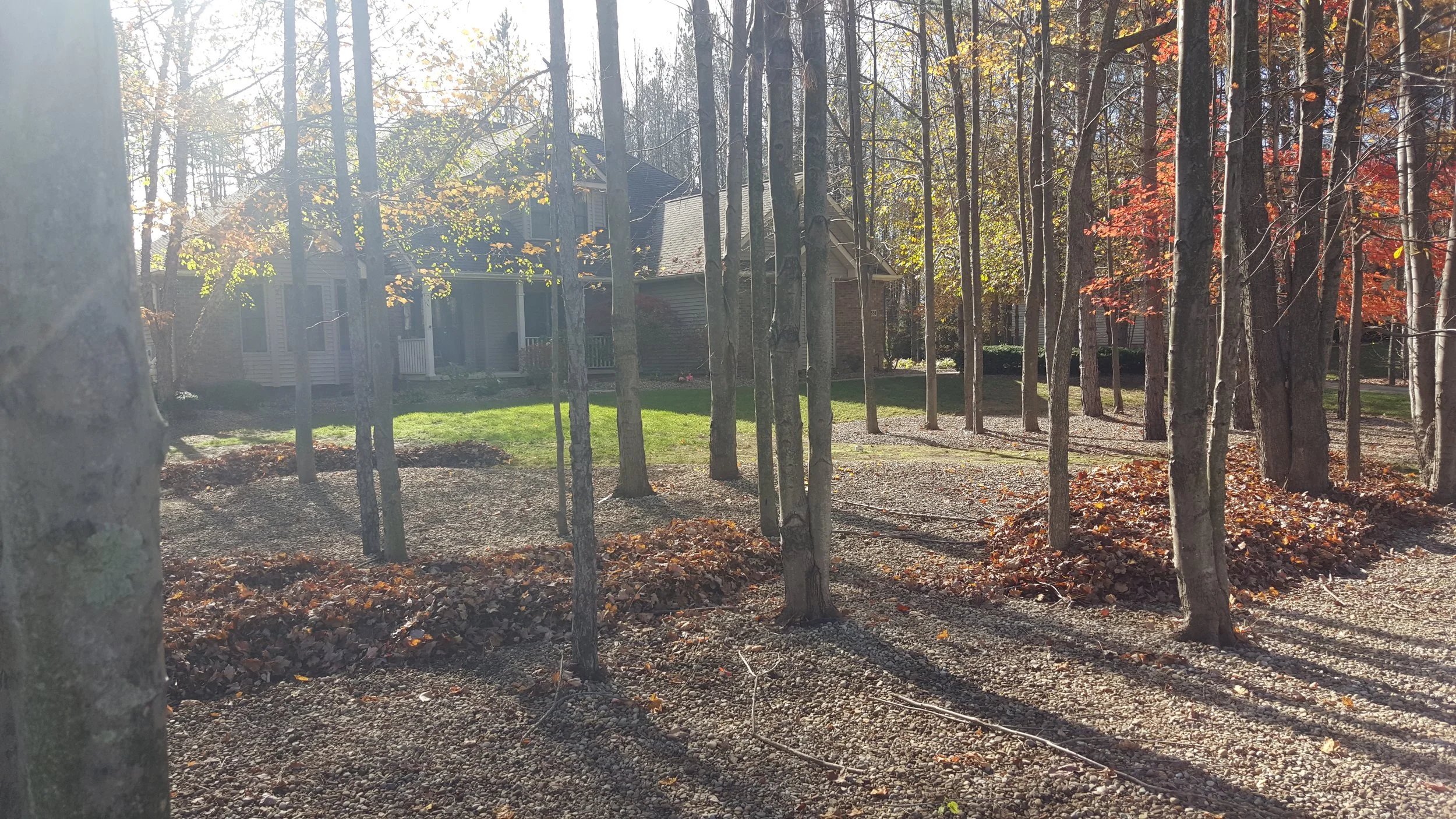 20151102_125719.jpg