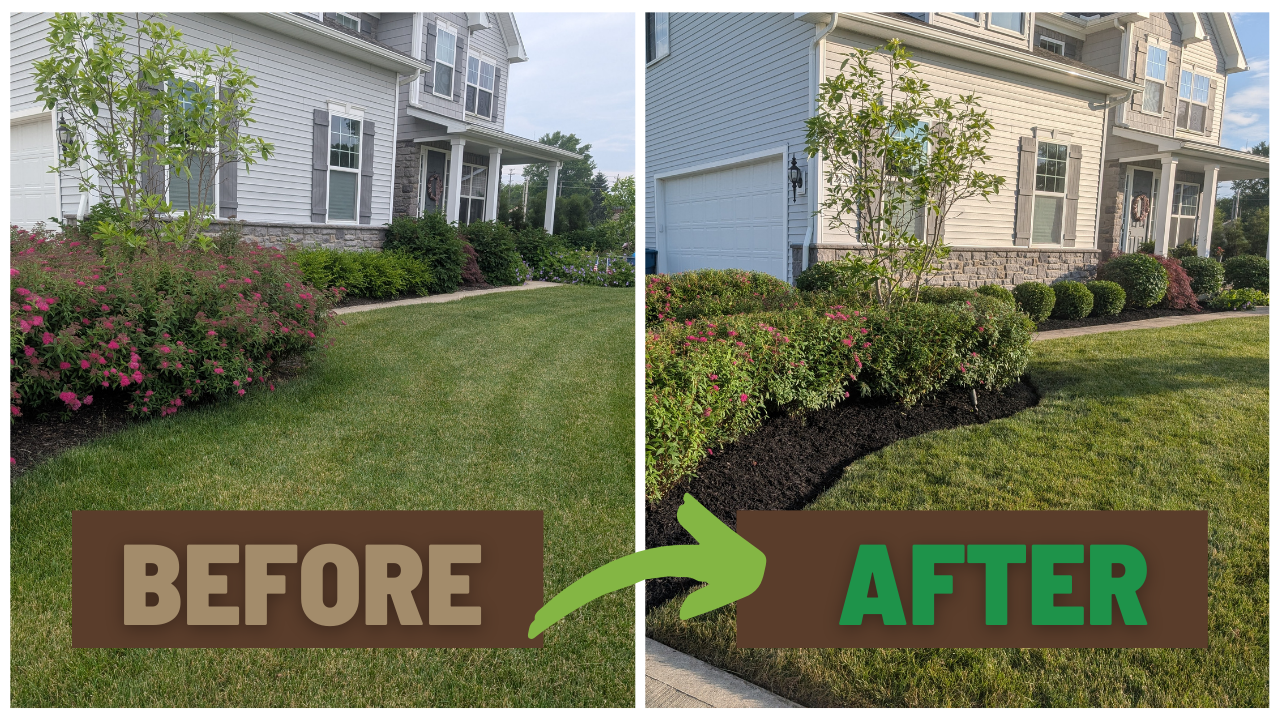 Side-by-side comparison of a house's front yard showing the before and after of landscaping. The before side has unkempt plants and less defined garden beds. The after side has neatly mulched garden beds with trimmed bushes, a new layer of dark mulch, and a well-maintained lawn.