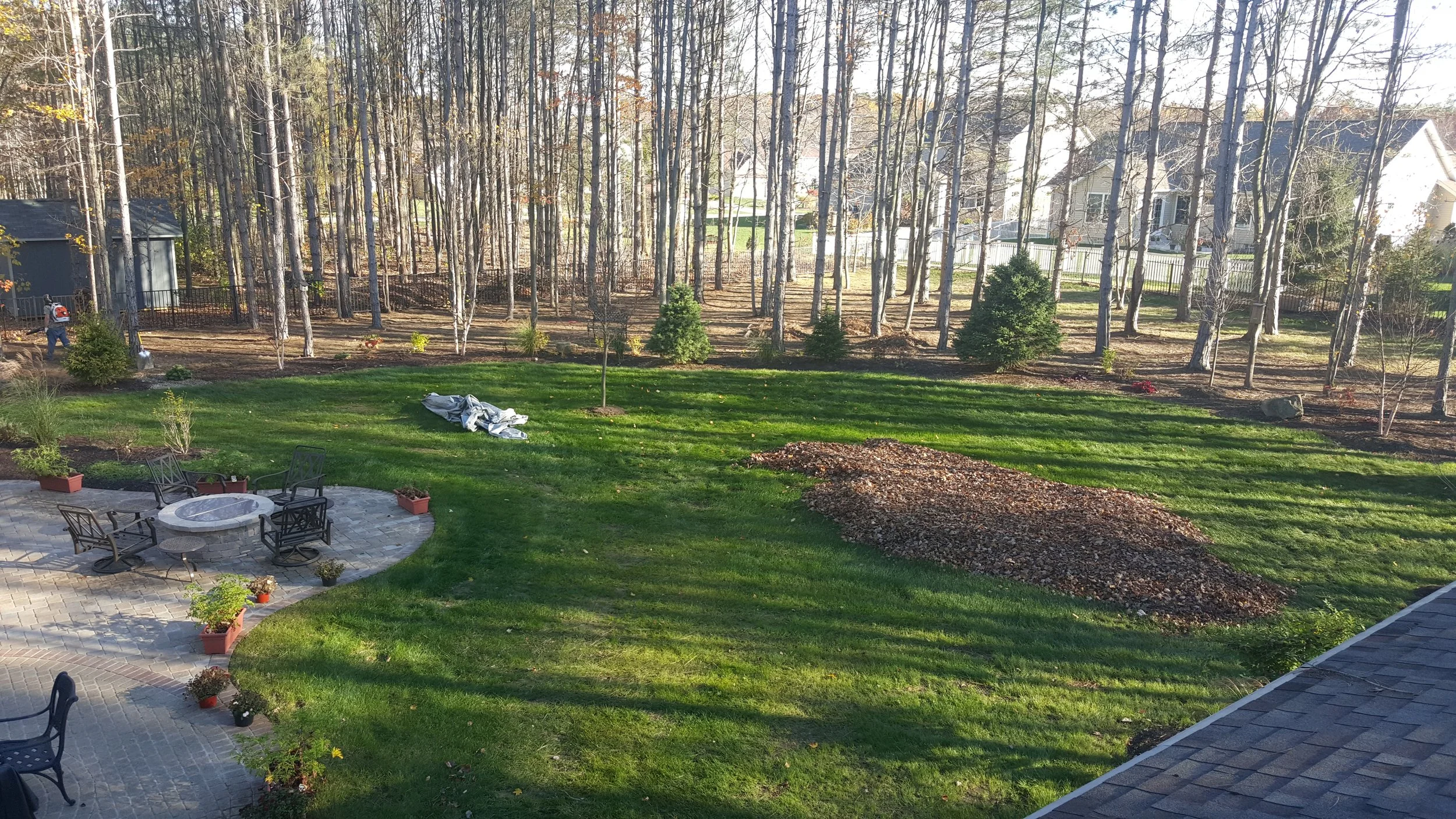 20151102_151509.jpg