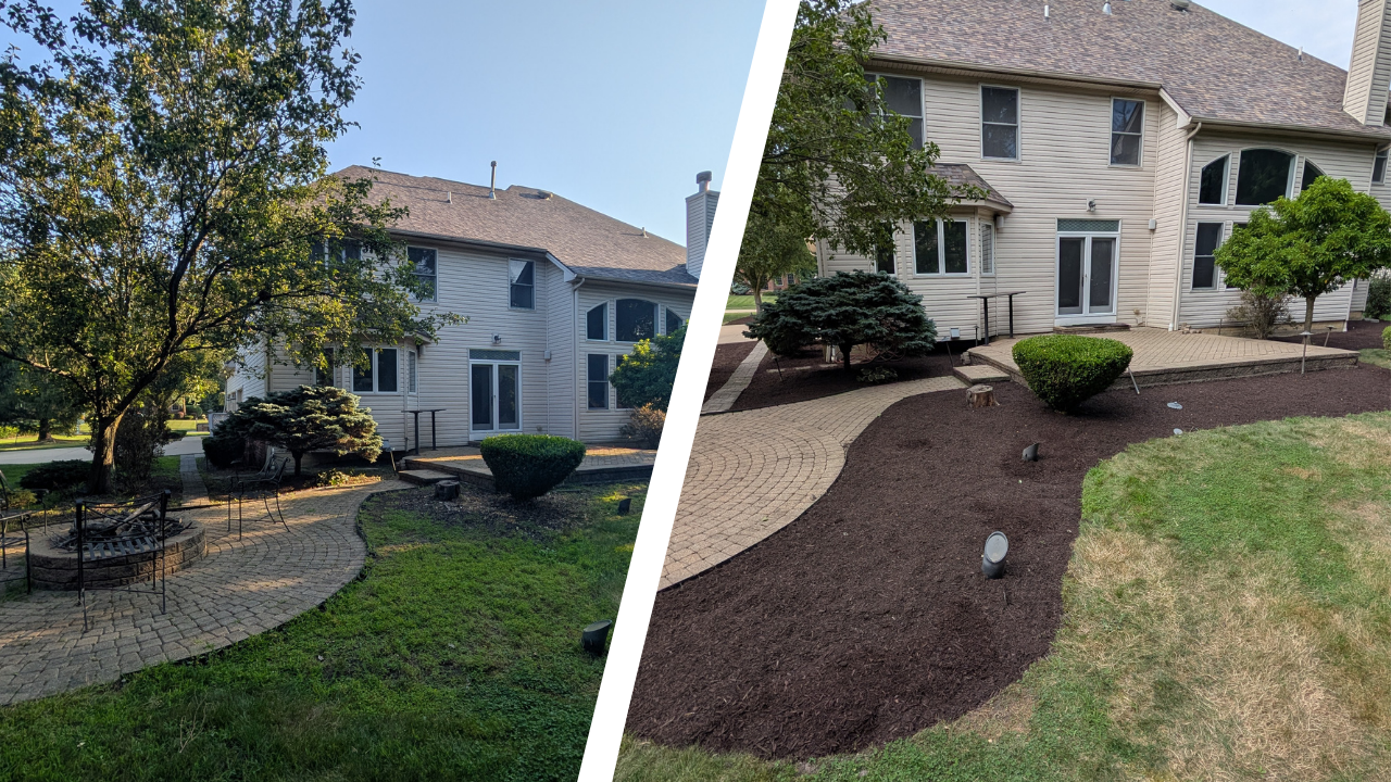 Comparison of a backyard before and after landscaping. The left side shows a yard with mature trees, natural grass, and unfinished landscaping. The right side shows the yard after being recently landscaped with new mulch, trimmed bushes, and a tidy, manicured appearance.