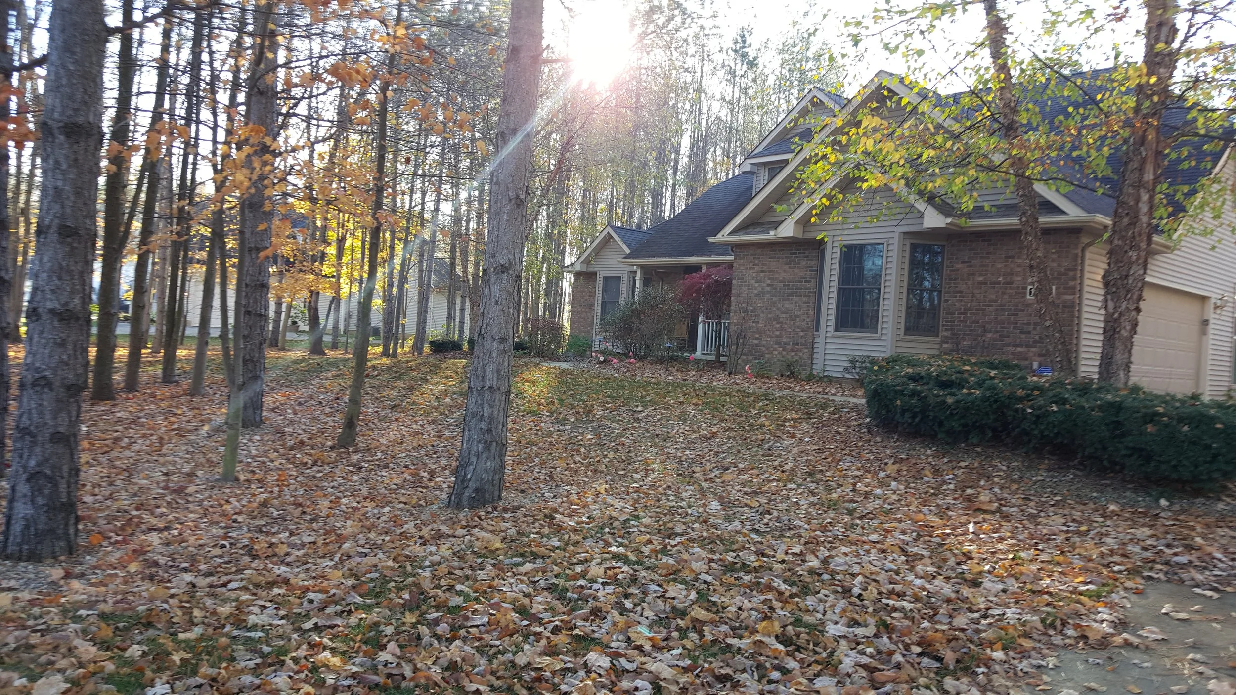 Front Yard before Fall cleanup.jpg