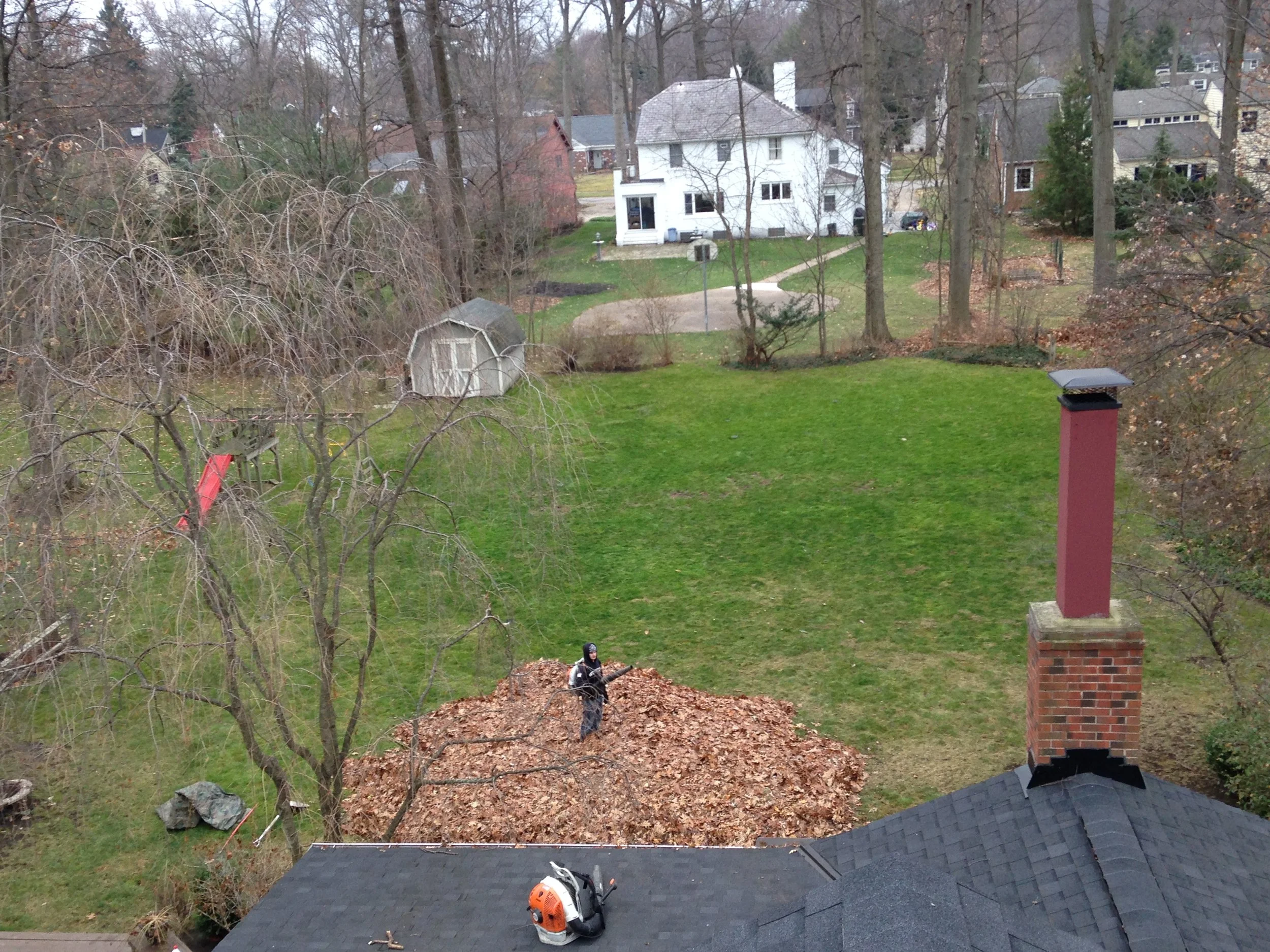 Bay Village Leaf Removal