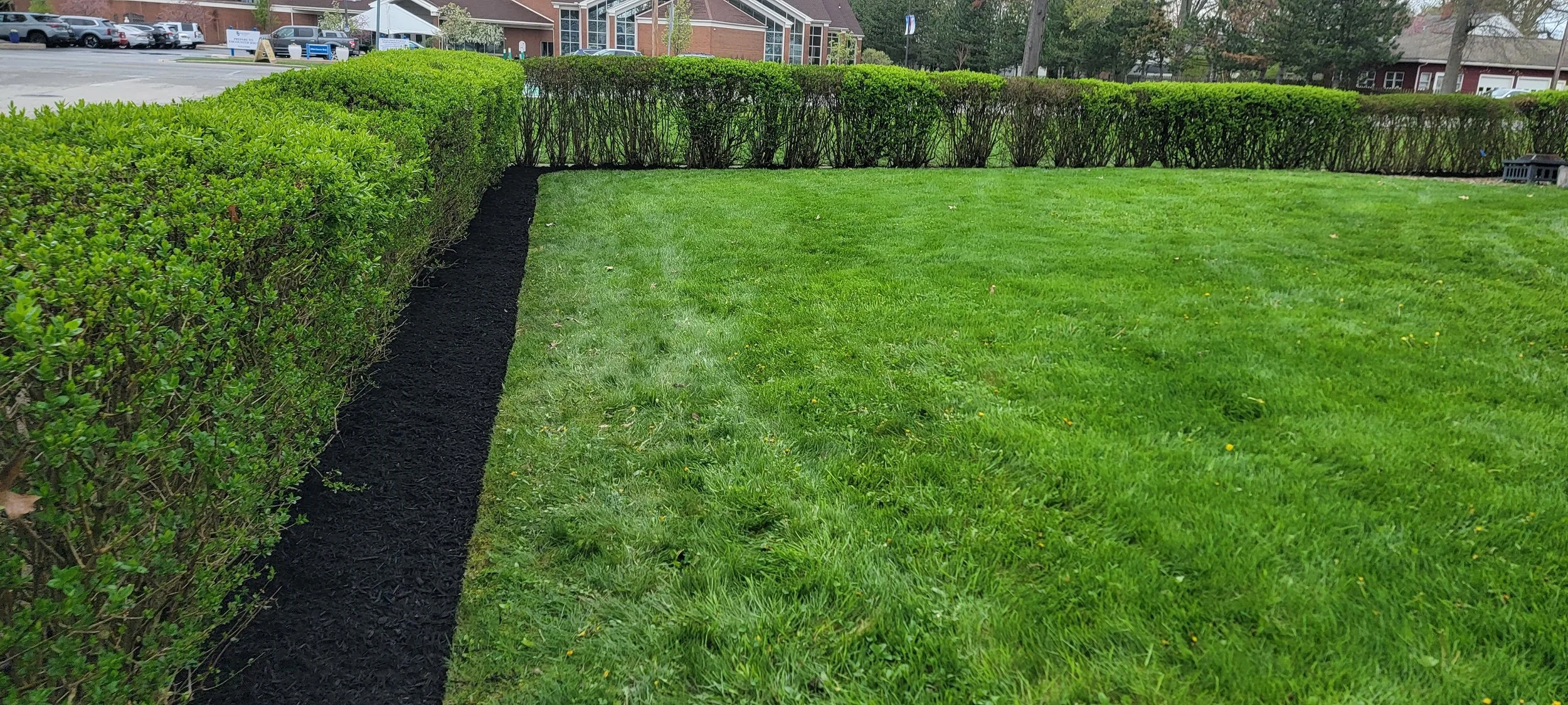 A freshly mulched flower bed bordered by a lush green lawn and trimmed bushes in a park or garden setting.
