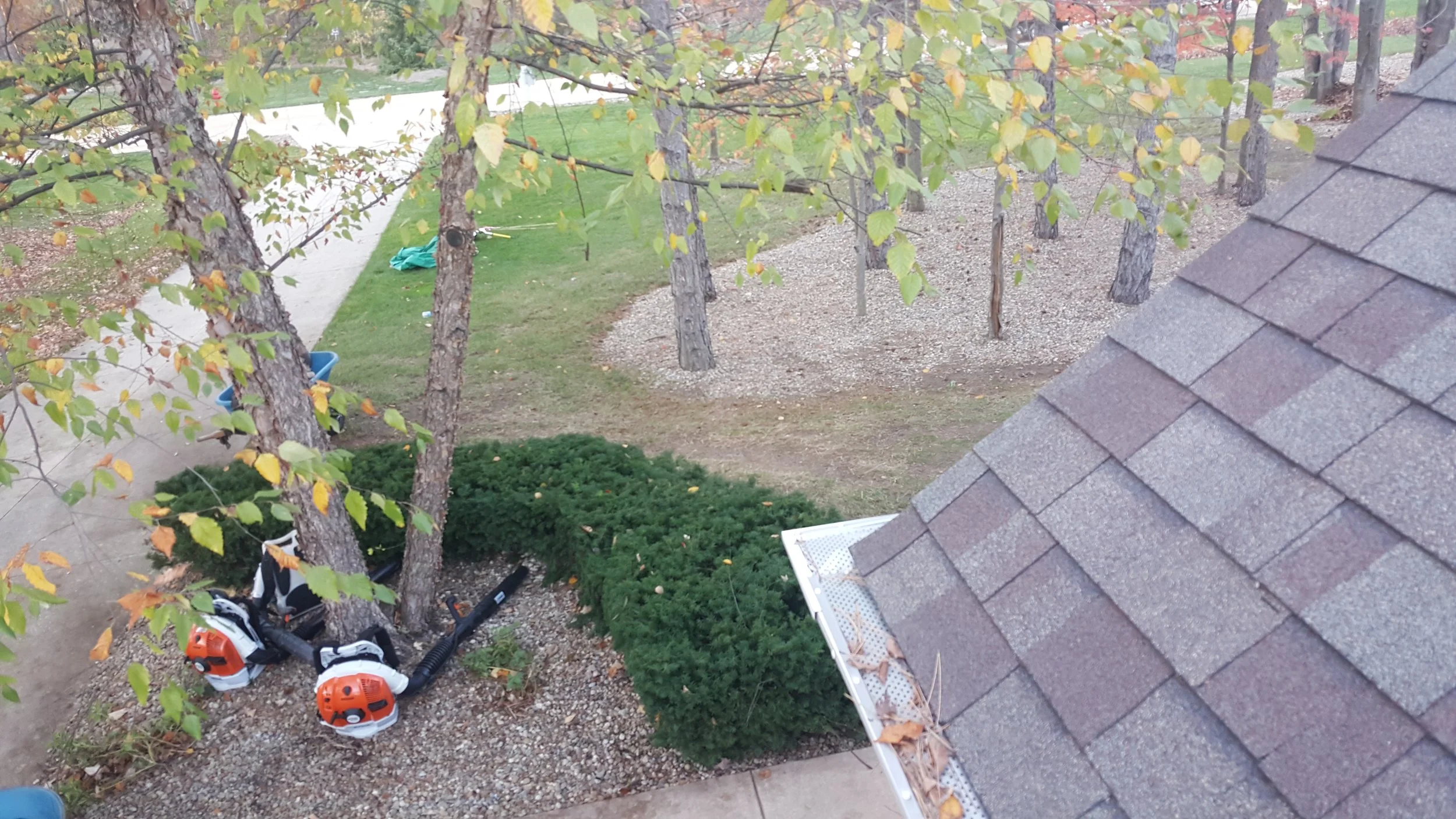 gutter view roof after cleanup.jpg