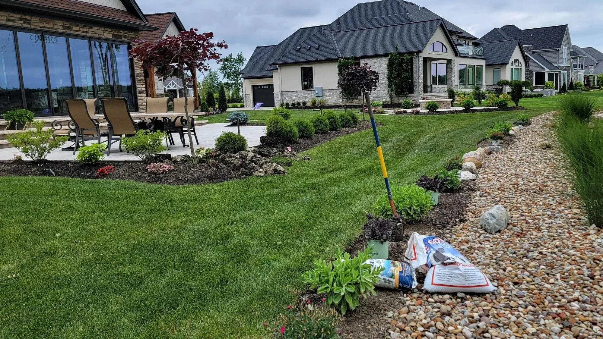 A landscaped backyard with green grass, small shrubs, and newly planted plants along a mulch and rock garden bed in front of suburban houses.