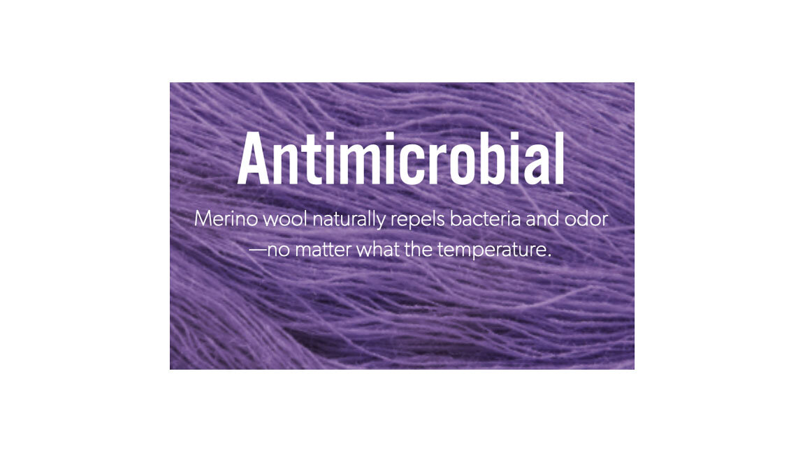 DT_Antimicrobial.jpg