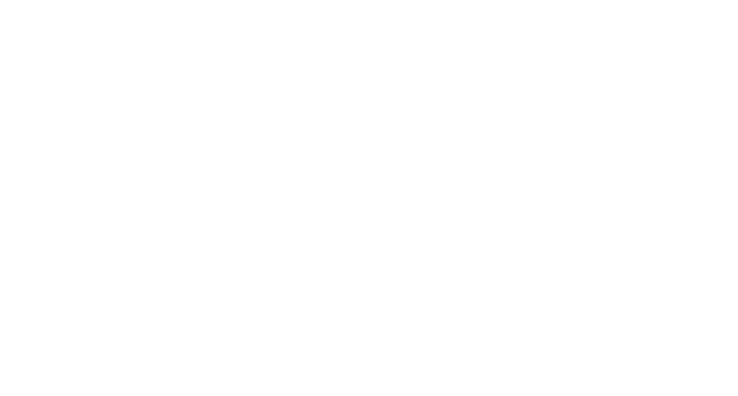 Famous Pizza & Beer