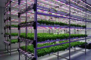 Grow-to-Green-Indoor-Vertical-Farming-Plant-Factory-for-Controlled-Environment-Agriculture_0102.jpg