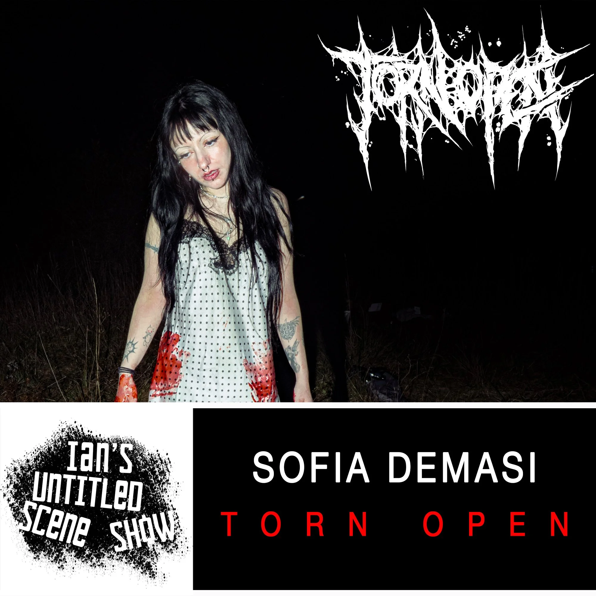 Torn Open - Sofia DeMasi - Ian's Untitled Scene Show