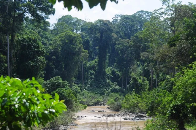 Danum Valley, Sabah Borneo