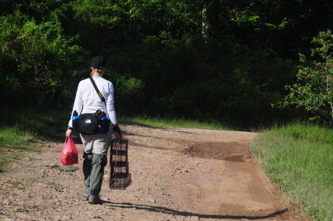  In pursuit of treeshrews in Sabah, Borneo, and yes, those are leech socks 