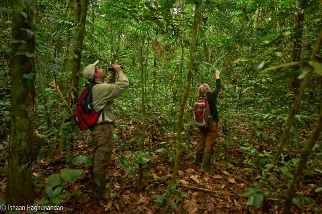   Students tracking habituated tamarin groups in southeastern Peru with field researcher Mrinalini Watsa through Field Projects International/PrimatesPeru. Photo credit: Ishaan Raghunandan  