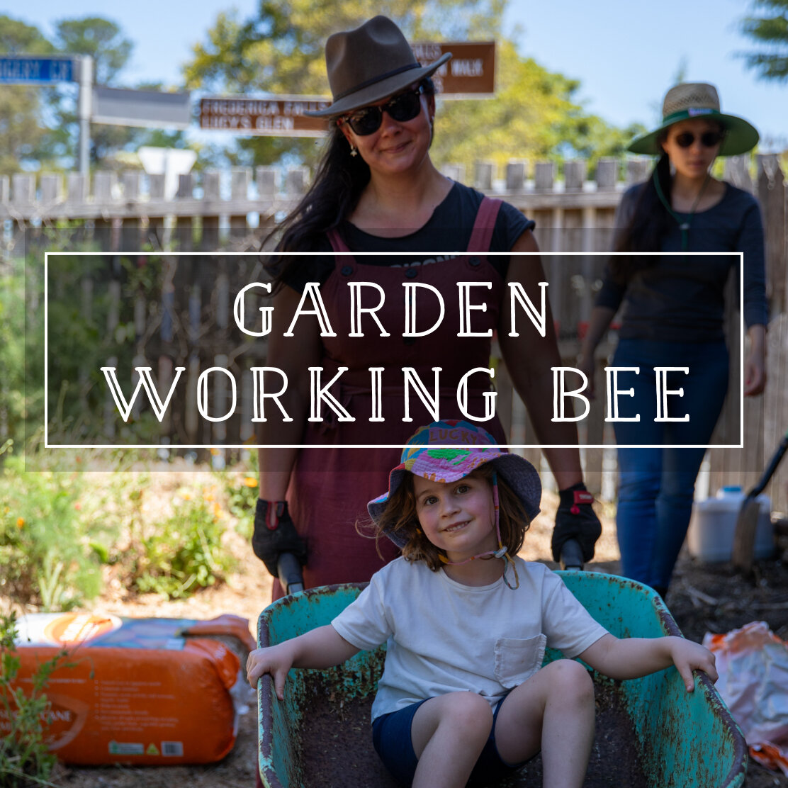 This Sunday (25 Feb) 1:30 pm to 4:30 pm - Lyttleton Garden Working Bee. Join us the fourth Sunday of every month to touch the dirt, connect with community, and continue bringing life and love to Lyttleton Community Garden.

#lyttletonstores  #bluemou