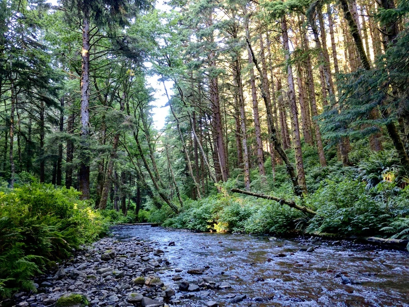 River.jpg