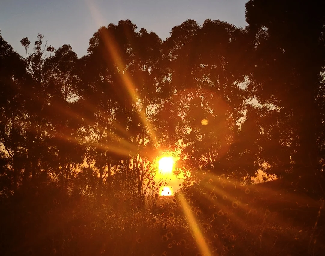 Bay Sunset.jpg