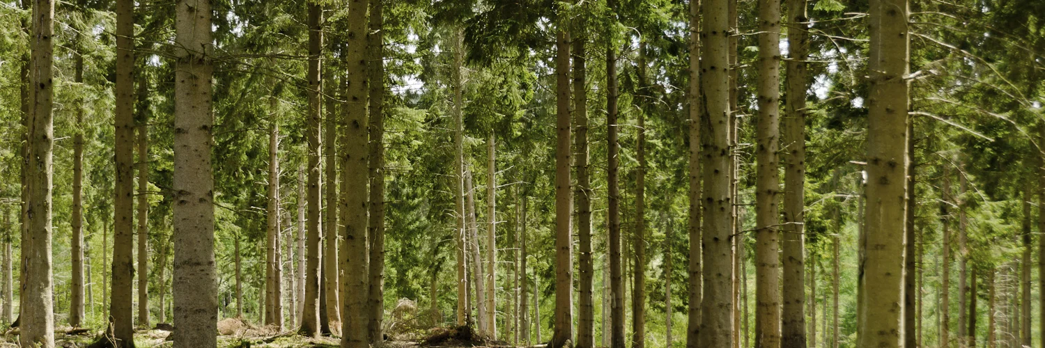 EnviroPicture.jpg