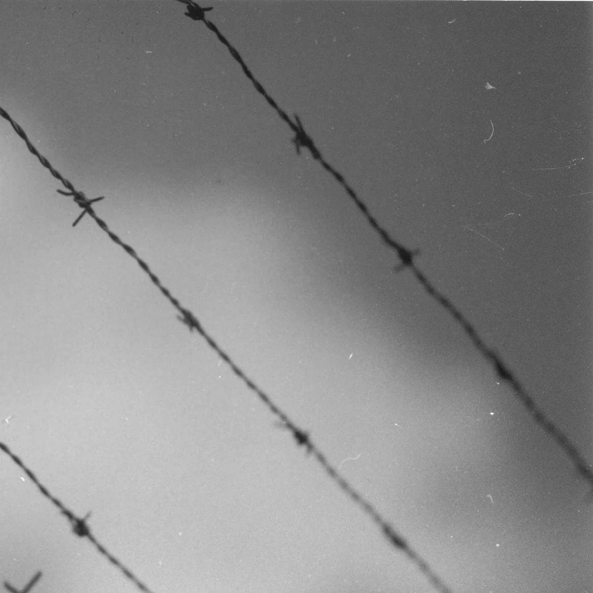 Military Fall2017 2.jpeg