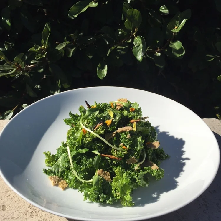 Kale Cesar Salad with Sunflower Dressing & Shiitake Anchovies.