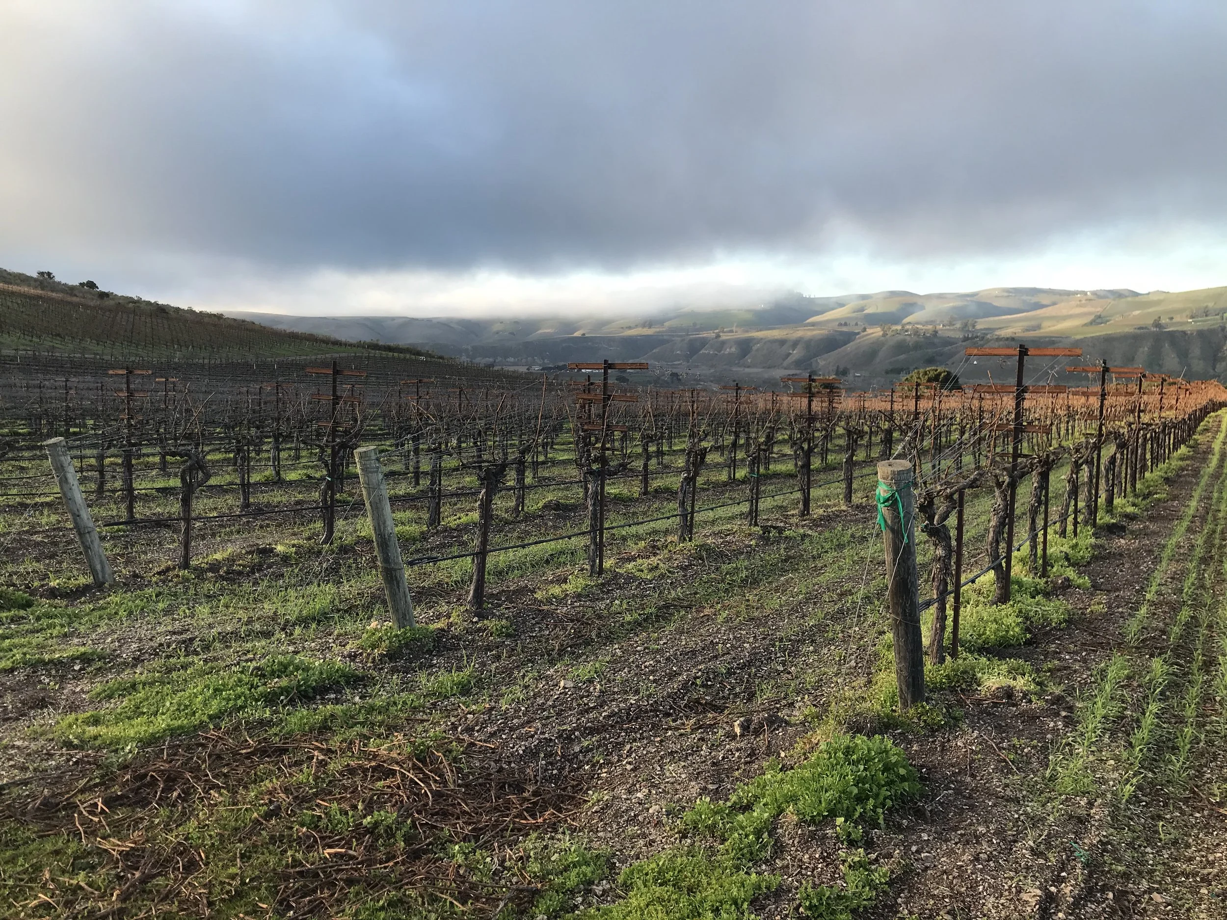 2020-01-22 16.34.33.jpg